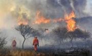Alerta por riesgo extremo de incendios en Córdoba: Terminalmente prohibido encender fuego