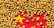 Rápida para los mandados: China acelera la compra de soja argentina tras la baja de retenciones