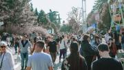 Escobar celebra la Fiesta Nacional de la Flor 2025: fechas, actividades y entradas