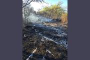 Bomberos controlaron un incendio intencional de pastizales en Los Loteos