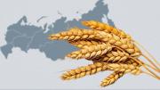 El grano más consumido del mundo lo utiliza una potencia como estrategia de control
