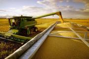 Eliminación temporal de las retenciones: las exportaciones del agro superaron los U$S4.000 millones