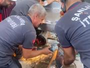 Ayudaba a su familia y vivió una pesadilla: quedó atrapada en una trituradora de tomates