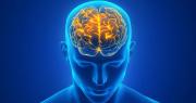 Cómo el cerebro logra una visión completa aunque cada ojo vea distinto