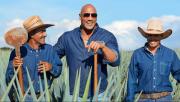 El imperio de licores de “The Rock”: los negocios de Dwayne Johnson