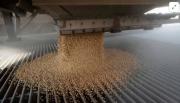 Fin a las retenciones cero: Las exportaciones del agro ya alcanzaron el cupo de 7.000 millones de dólares