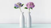 Cómo conservar más tiempo flores en un florero usando azúcar