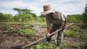 Crítica a la baja de las retenciones
