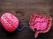 Tres inusuales hábitos que mejoran la salud intestinal y potencian la función cognitiva