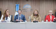 Diputados activó la comisión investigadora por el fentanilo contaminado