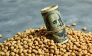 Quiénes son los 11 grandes exportadores del Agro que embolsaron U$S 1.500 millones por el negocio que les regaló Caputo