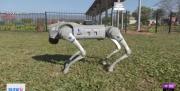 Así es Chan Bachi, el nuevo robot de la Municipalidad para vigilancia y educación ambiental