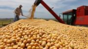 En sólo tres días, el campo liquidó 7.000 millones de dólares para aprovechar la quita de retenciones