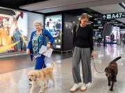Se realizó el primer vuelo comercial con perros de gran tamaño en cabina