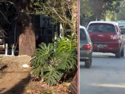Triple crimen de Florencio Varela: entraron a robar a la casa donde hallaron los cuerpos de Brenda, Morena y Lara