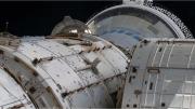 Rusia lanzó al espacio un “arca de Noé” con animales y plantas