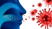 Virus Sincicial Respiratorio: alertan que multiplica el riesgo en personas con enfermedades cardíacas