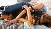 Cuáles son los beneficios y riesgos de dormir con el perro, según los especialistas