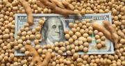 Retenciones 0%: La Rural duda sobre el ingreso de u$s 7000 millones que anunció el Gobierno