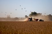Retenciones cero y negocio exprés: multinacionales cerealeras se quedaran con 1.500 millones de dólares y el campo quedó afuera