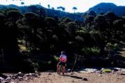 Cicloturismo y trekking en Pino Hachado: descubrí paisajes soñados Neuquén con esta propuesta innovadora