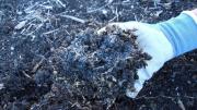 3 razones por las que la tierra de tus plantas se pone blanca: el significado de las manchas