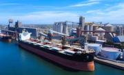 Un negocio muy grande para pocos”: distintos sectores del campo expresaron su malestar por los cupos de exportaciones