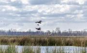 Escapada al Ojo en el Delta del Paraná: ¿Cómo llegar al Parque Nacional a menos de una hora de CABA?