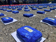 CPNB incauta más de 500 kilogramos de marihuana en el estado Lara