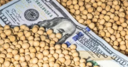 De Loredo pidió que se aplique la ley contra exportadoras que liquidaron cereal que no tienen