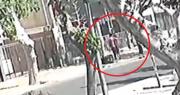 Insólito: robó en una casa del centro y se tomó el colectivo con el botín bajo el brazo