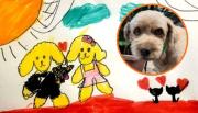 Luna busca a su perrito Felipe: la historia del dibujo que conmueve a los salteños
