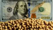 A quién benefició las retenciones cero: “La liquidación fue de grandes exportadores y dejaron afuera el campo”