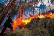 Santa Cruz registra siete incendios forestales activos