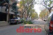El viento derribó una rama en avenida Roca en plena siesta santiagueña