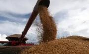Tandil: referentes agropecuarios cuestionaron la suspensión de retenciones