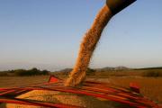 El campo acusa a Milei y Caputo de montar una estafa con las retenciones cero