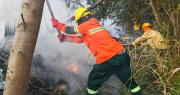 “No hay necesidad”: Gobierno no pedirá ayuda internacional para enfrentar incendios forestales