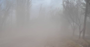 En videos, el viento Zonda pegó de lleno en los departamentos cordilleranos de San Juan