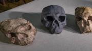 Hallazgo en China adelanta un millón de años el tronco del linaje Homo Sapiens – Correo del Caroní