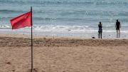 Advertencia sanitaria en Miami-Dade: cuidado con las heces fecales en estas dos populares playas
