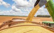El campo, en alerta: la baja fugaz de retenciones benefició a exportadoras y abrió un frente político para Milei