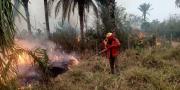 Bomberos de las FFAA combaten 10 incendios activos en Bolivia mientras disminuyen los focos de calor