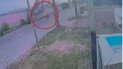 Video impactante: un repartidor de Pedidos Ya sobrevivió a la caída de un árbol por el viento en Mendoza