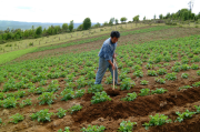 22 variables que hacen a la crisis agropecuariay ambiental de Bolivia (I)