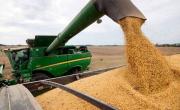 La estafa de las cerealeras y el Gobierno a los productores agropecuarios ya está bajo la mira de la Justicia