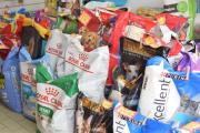 Robo en una forrajería de Las Termas: comerciantes señalan a sospechosos conocidos del barrio