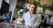 CSI San Juan: los expertos que buscan insectos en cadáveres para ayudar a poner a los asesinos tras las rejas