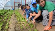 Implementan en Chubut un Bachillerato con Orientación en Energía y Sustentabilidad