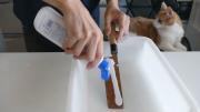 El truco casero para afilar cuchillos en solo un minuto